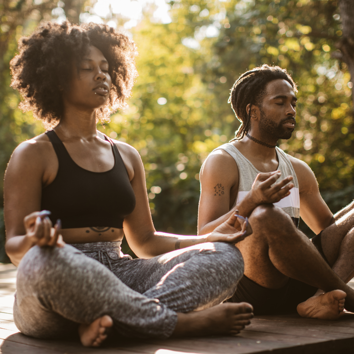 Chronic Inflammageing